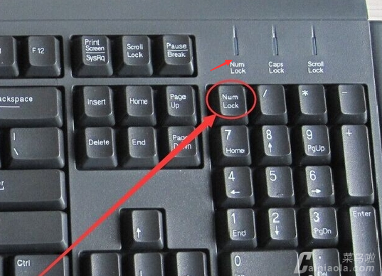 教您电脑小键盘解锁方法